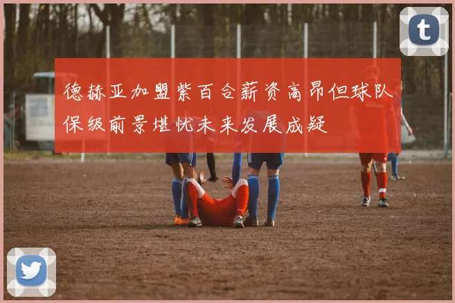 德赫亚加盟紫百合薪资高昂但球队保级前景堪忧未来发展成疑